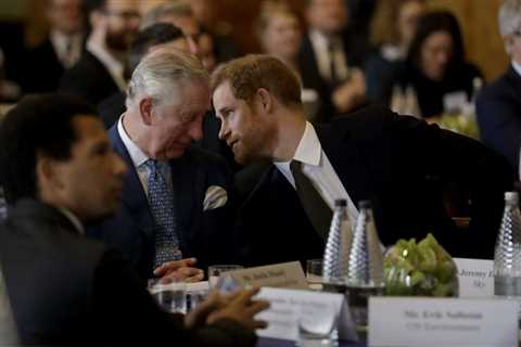 bitchy |  Prince Harry has reached out to Prince Charles, there is a ‘thaw in relations’
