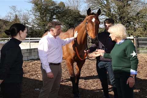 Camila meets champion jockey Rachel Blackmore and her unbeaten racehorse at stables in Ireland