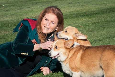 Sarah Ferguson poses with Queen’s corgis for first time since they moved in with Duchess and Prince ..