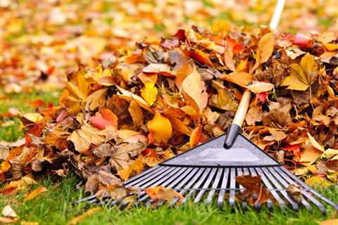 Good News! Experts Say It’s Better Not To Rake Your Yard This Fall—Here’s Why