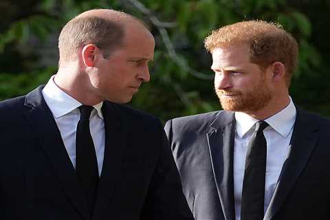 Prince Harry claims brother William ‘screamed’ at him while Charles ‘lied’ and Queen ‘took it all..