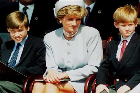 Prince Harry takes veiled swipe at mum Princess Diana’s famous Panorama quote and says ‘William and ..