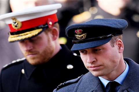 Prince William said Harry was being ‘brainwashed by his therapist’ and ‘wasn’t well’ sparking..