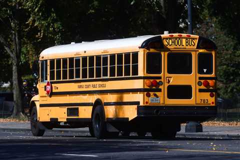 VIDEO: 9-Year-Old Florida Girl Viciously Assaulted By Two Older Boys In Savage School Bus Attack