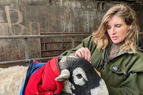 Amanda Owen fans all say the same thing as Our Yorkshire Farm star shares Ravenseat parenting tip