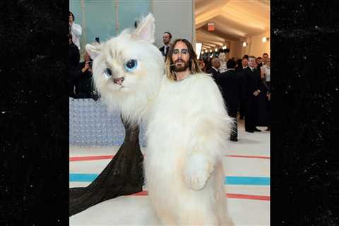 Jared Leto Dresses as Giant Cat at Met Gala for Karl Lagerfeld Tribute