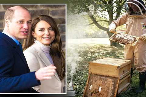 Kate Middleton pictured collecting honey to mark World Bee Day