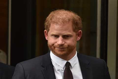 Prince Harry was armed only with vague suspicions and his usual tedious grudges at High Court