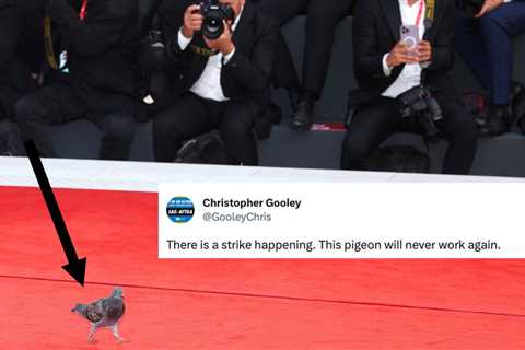 A Pigeon Is A Viral Star After Walking The Venice Film Festival Red Carpet, And The Memes Are The..