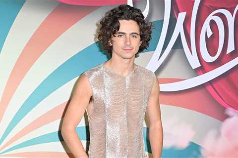 Timothée Chalamet Channels Kardashian-Jenner Style for 'Wonka' Paris Premiere