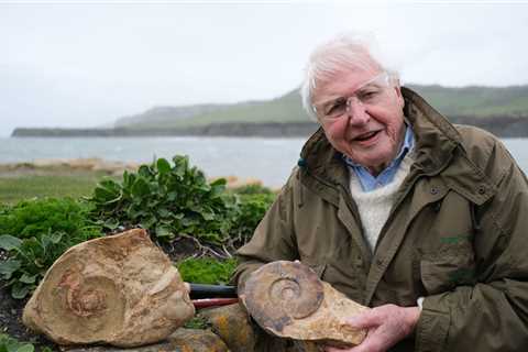 Attenborough Unveils Ancient Sea Monster in New BBC Documentary
