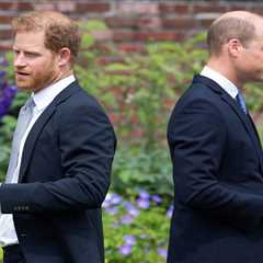 Prince Harry and William urged to grow up and put their differences aside for their father's sake