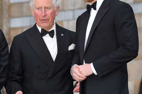 Prince Harry's Reunion with King Charles Hints at Future Reconciliation, but Prince William Remains ..