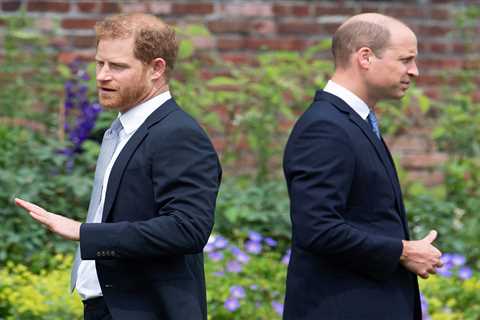 Prince Harry's Inheritance: What Sets Him Apart from Prince William