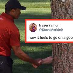 The Funniest Memes About Tiger Woods Shaking Hands With A Tree