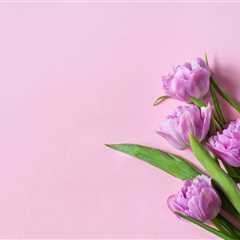 Gifts Mom Will Love: The Best Flowers & Plants to Buy for Mother’s Day