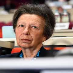 Princess Anne's Health Update: Visits Paris on 12-Day Olympics Trip After Recovering from Head..