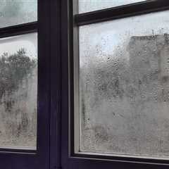 Queen of Clean Reveals Must-Try Hack to Prevent Window Condensation