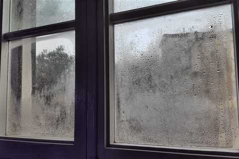 Queen of Clean Reveals Must-Try Hack to Prevent Window Condensation