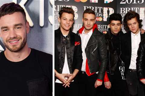 Here's Everything Each One Direction Member Has Said About Liam Payne's Death