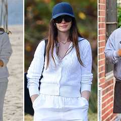 Selena Gomez, Harrison Ford, More Seen Out Strolling Post-Election