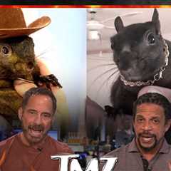 TMZ TV Hot Take: Peanut The Squirrel's Death Ordered Before Raid