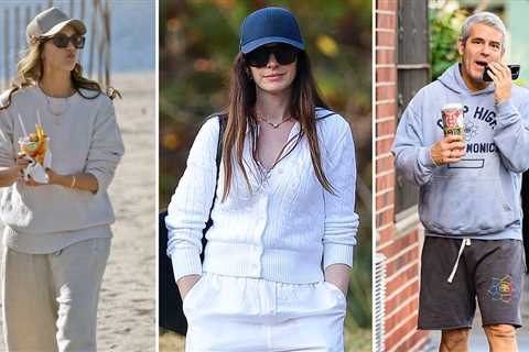 Selena Gomez, Harrison Ford, More Seen Out Strolling Post-Election