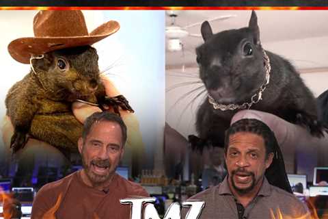 TMZ TV Hot Take: Peanut The Squirrel's Death Ordered Before Raid