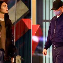 Leonardo DiCaprio and Vittoria Ceretti Have Dinner With Her Family in L.A.