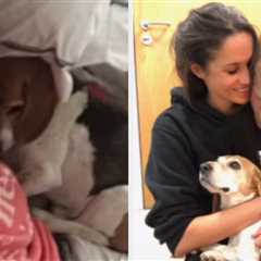 Meghan Markle Just Paid Emotional Tribute To Her Beloved Rescue Dog Guy As She Shared The News Of..