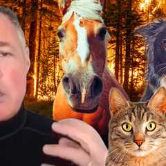 Jeff Corwin Calls Wildfires 'Catastrophe' for Mountain Lions, Condors, Bears