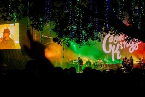California Roots at 15: How the Reggae Festival Has Persevered in a Tough Market