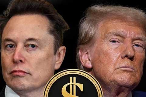 Elon Musk Reportedly Stepping Down From DOGE