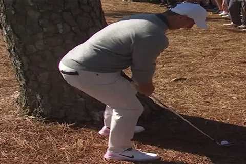 Rory McIlroy somehow makes birdie after shot lands behind tree in unreal Masters moment