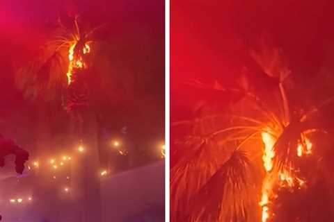 Firework Explodes Into Crowd During Green Day Set at Coachella