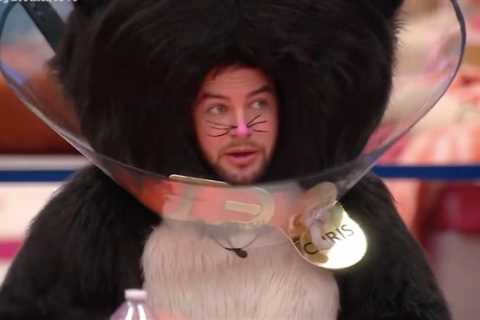 Analysis: Celebrity Big Brother's Chris Hughes makes controversial offer to JoJo Siwa