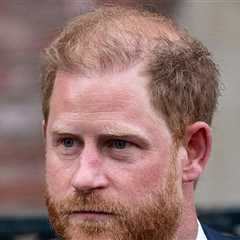 Prince Harry Loses Appeal, Won't Receive Publicly Funded Security in UK