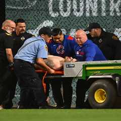Pirates fan’s frightening injuries revealed after falling 21 feet onto field at PNC Park