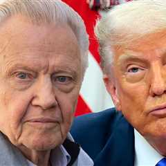 Jon Voight Says He's Worried Hollywood Will Go 'Down the Drain Like Detroit'
