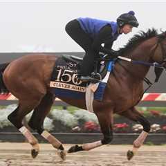 Preakness Stakes 2025 odds, horses, jockeys and complete bettor’s guide