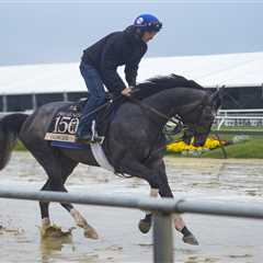A Preakness Stakes long shot is named after an obscure Met