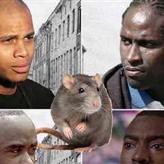 Cast of HBO's 'The Wire' Says Rats Used to Overrun the Set, Eat the Food