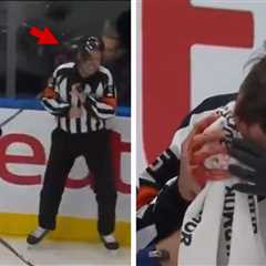 NHL Ref Hit In Eye By Stick, Leaves Games Bloodied