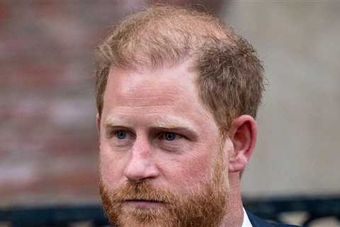 Prince Harry Loses Appeal, Won't Receive Publicly Funded Security in UK