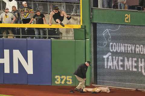 Pirates fan who fell 21 feet onto field speaks after scary ‘broken everything’ moment