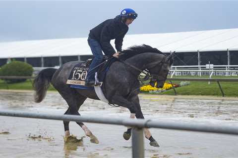 A Preakness Stakes long shot is named after an obscure Met