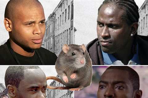 Cast of HBO's 'The Wire' Says Rats Used to Overrun the Set, Eat the Food