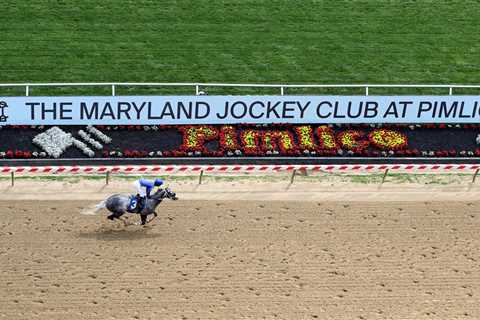 2025 Preakness Stakes picks: Two long shots with upside at Pimlico