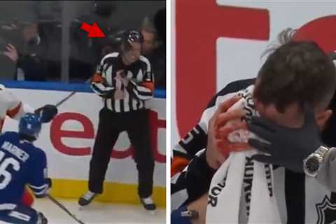 NHL Ref Hit In Eye By Stick, Leaves Games Bloodied