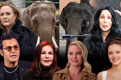 Cher Signs Letter to L.A. Mayor Protesting Transfer of Zoo Elephants to Tulsa